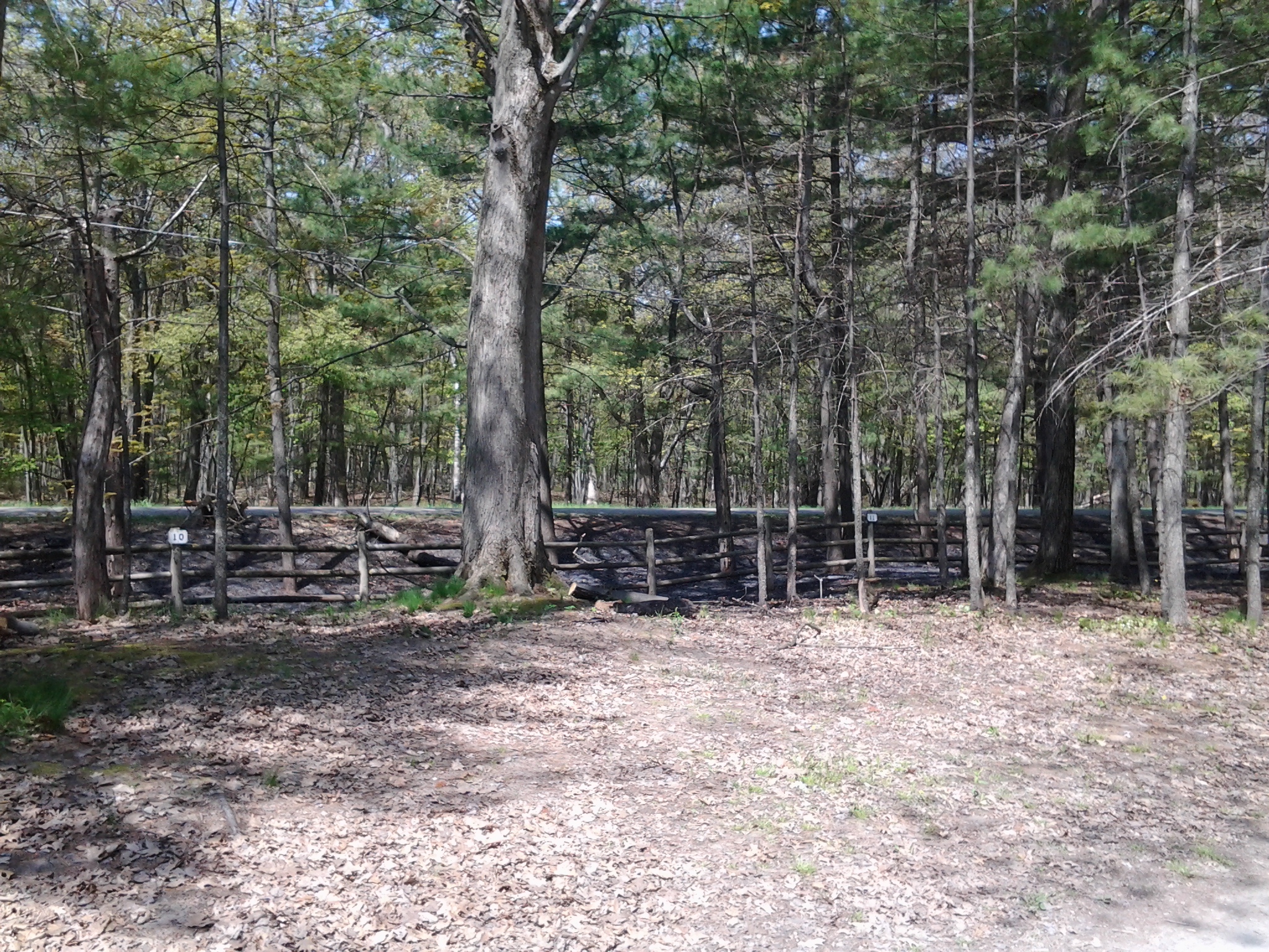 Pt. Augres Park Arenac County, Michigan